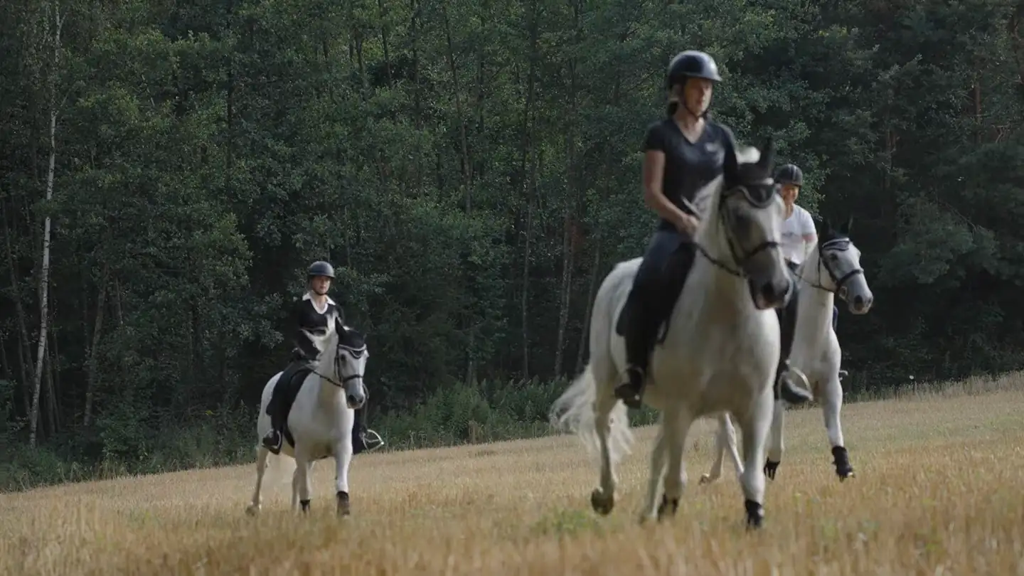 Riders in an Austrian forest, from Equus Worldwide
